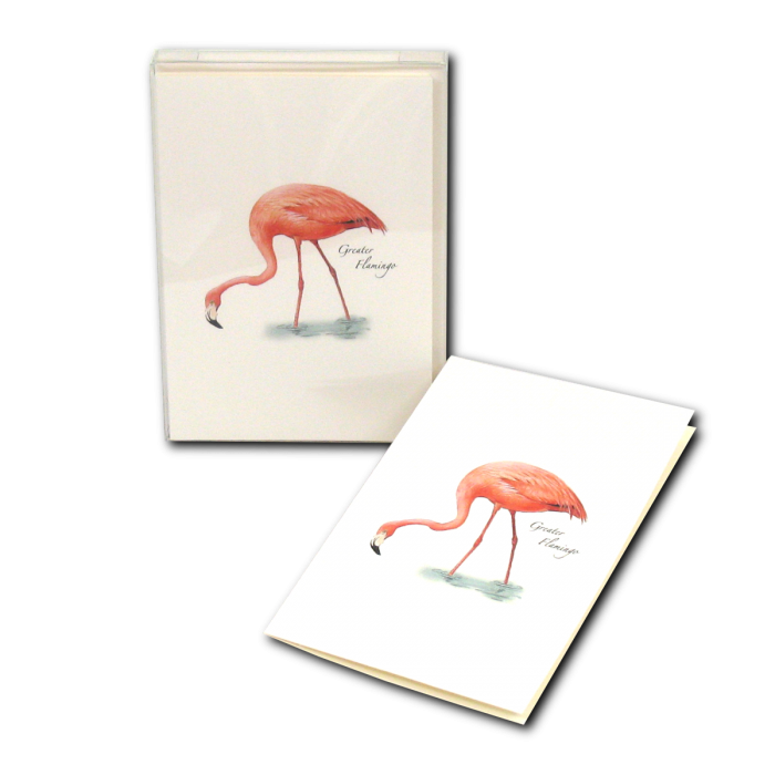 Earth Sky + Water - Flamingo