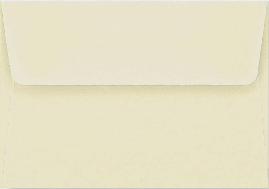 Peter Pauper Press - Ladybug Thank You Notes