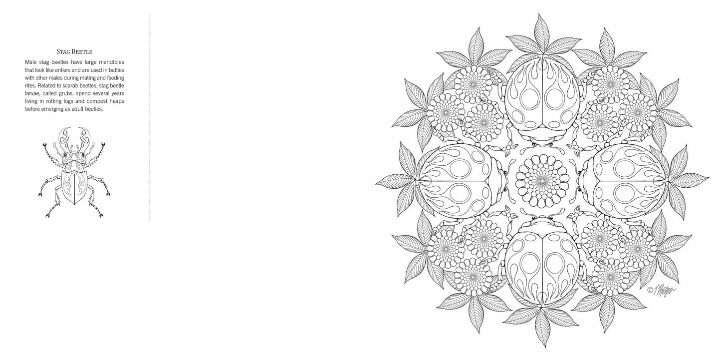 Schiffer Publishing - Garden Life: Nature Mandala Coloring Book