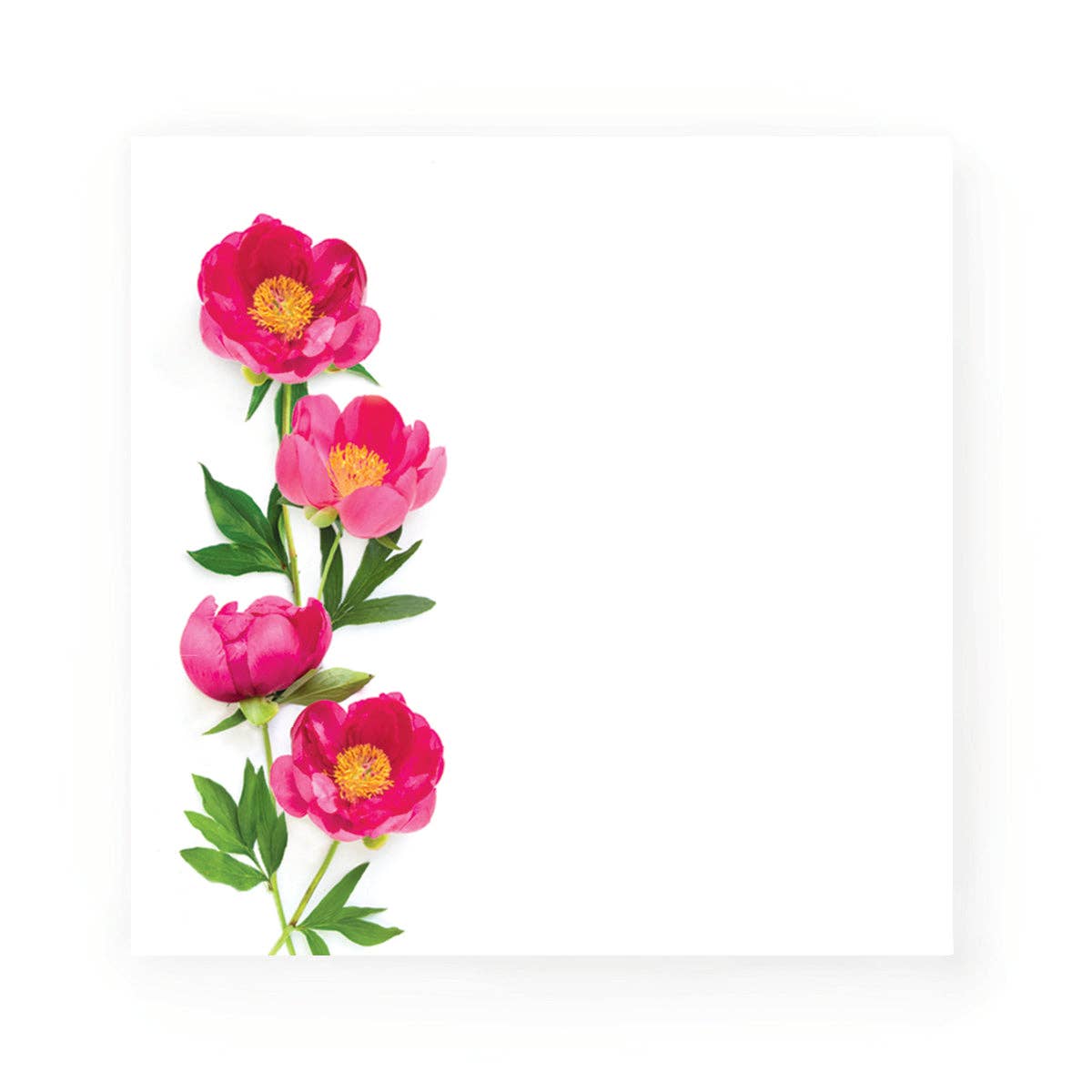 Bottle Branch - Sticky notes - Peony Flowers