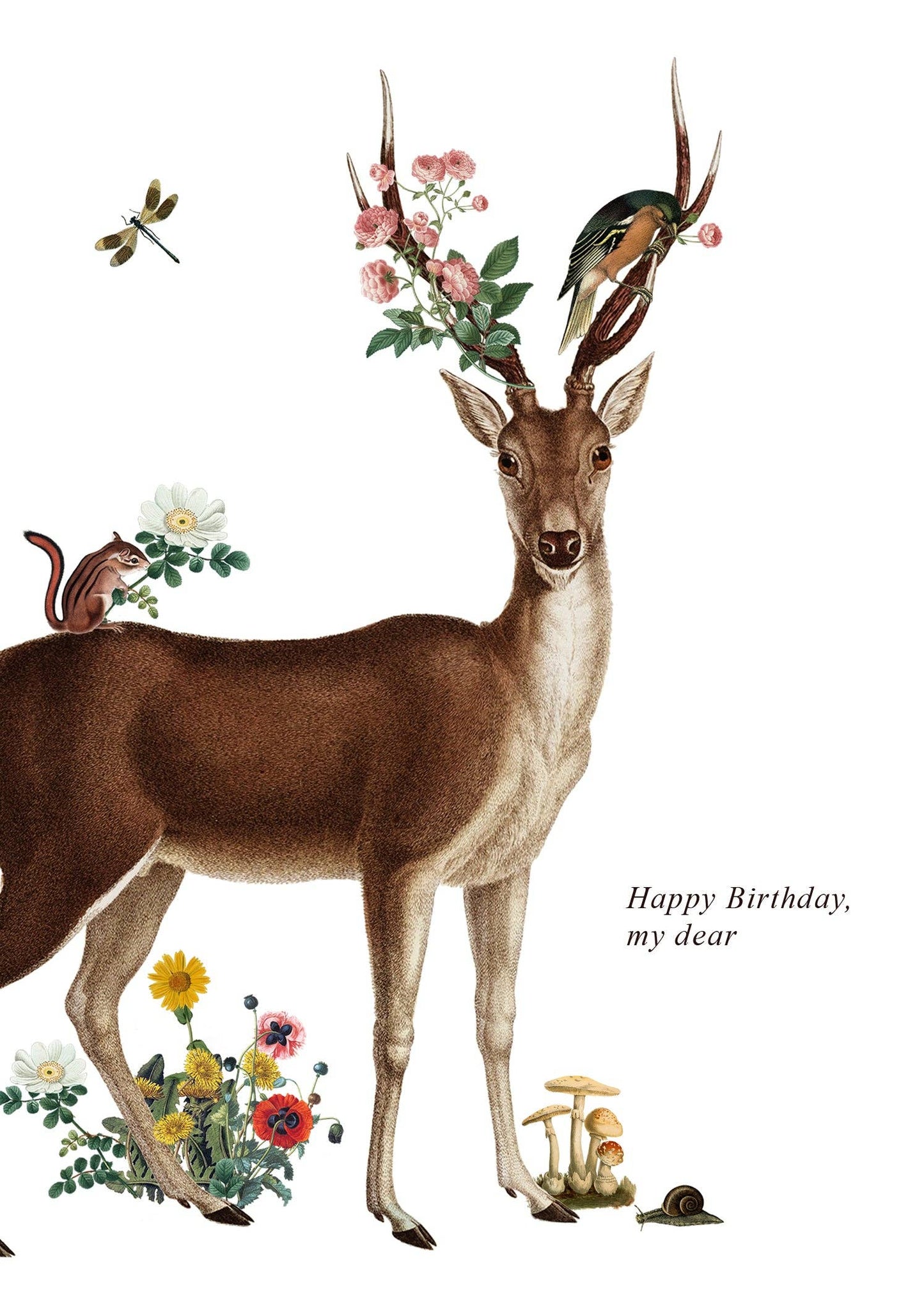 P. Flynn Design / Phun House - Happy Birthday My Dear • 5x7 Greeting Card
