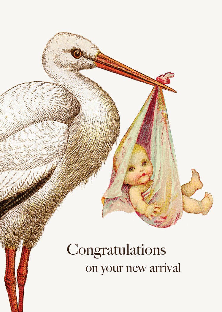 P. Flynn Design / Phun House - Congratulations Stork • Mini Enclosure Card