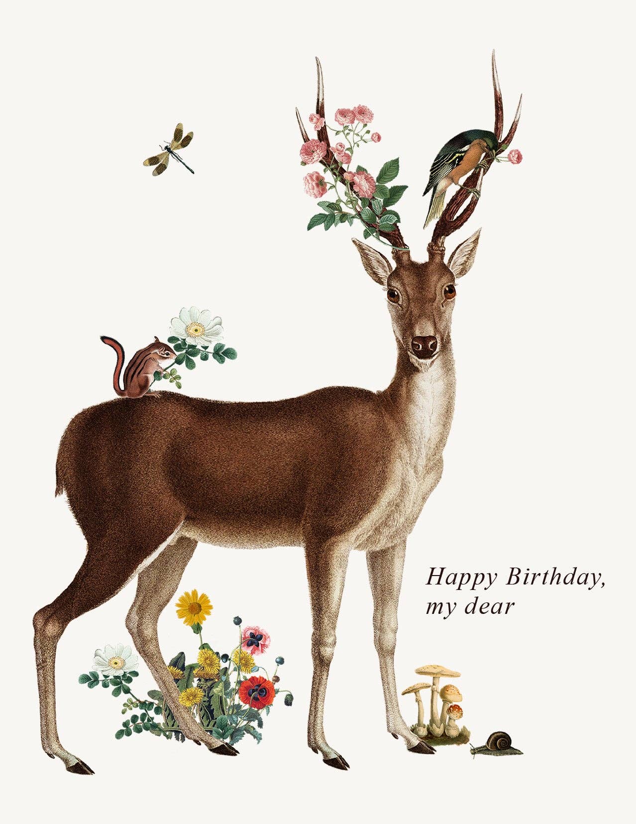 P. Flynn Design / Phun House - Happy Birthday My Dear • A-2 Greeting Card