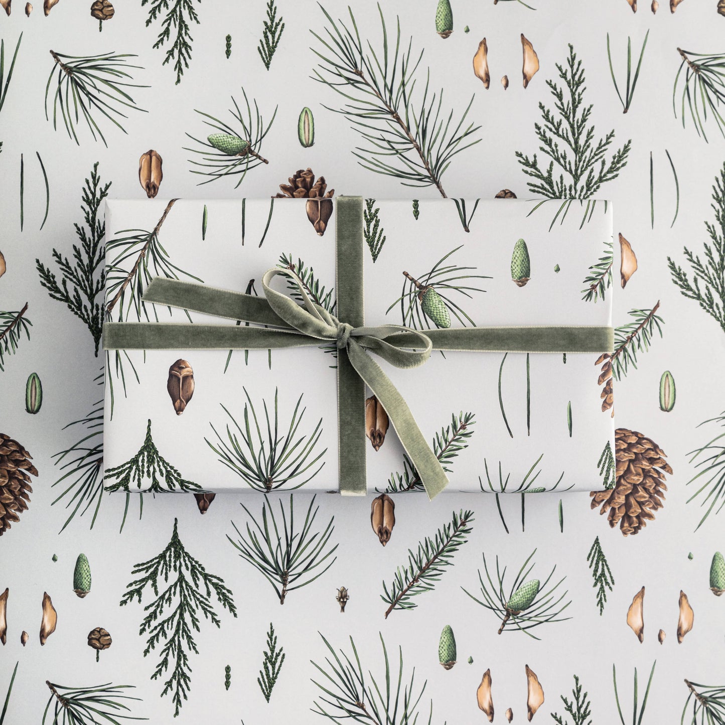 Catherine Lewis Design - White Pine - Grey - Christmas Gift Wrap