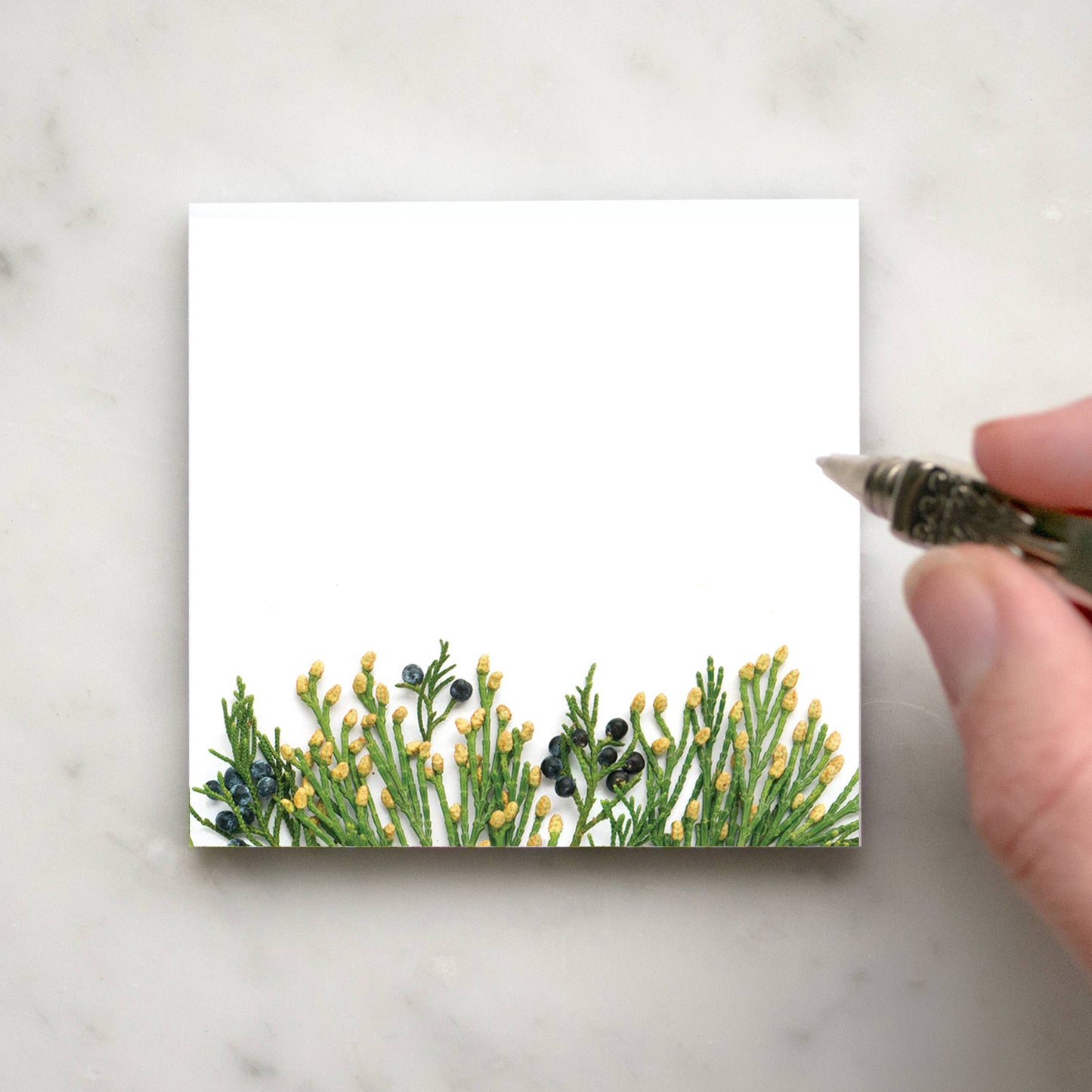 Sticky Notes - Juniper and cedar