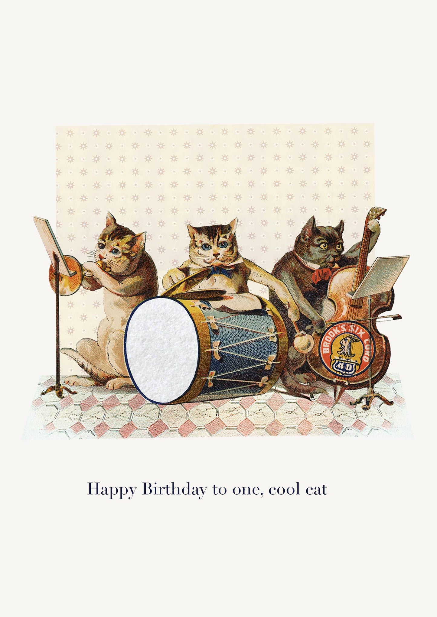 P. Flynn Design / Phun House - Happy Birthday to one cool cat 5x7 Greeting card