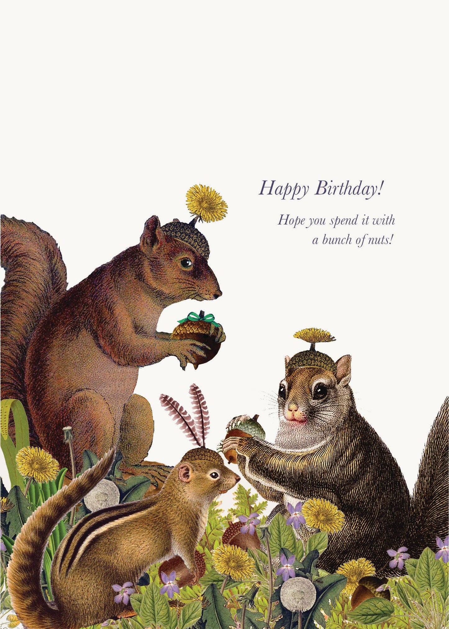 P. Flynn Design / Phun House - Happy Birthday! Hope You Spend It With A Bunch Of Nuts • 5x7