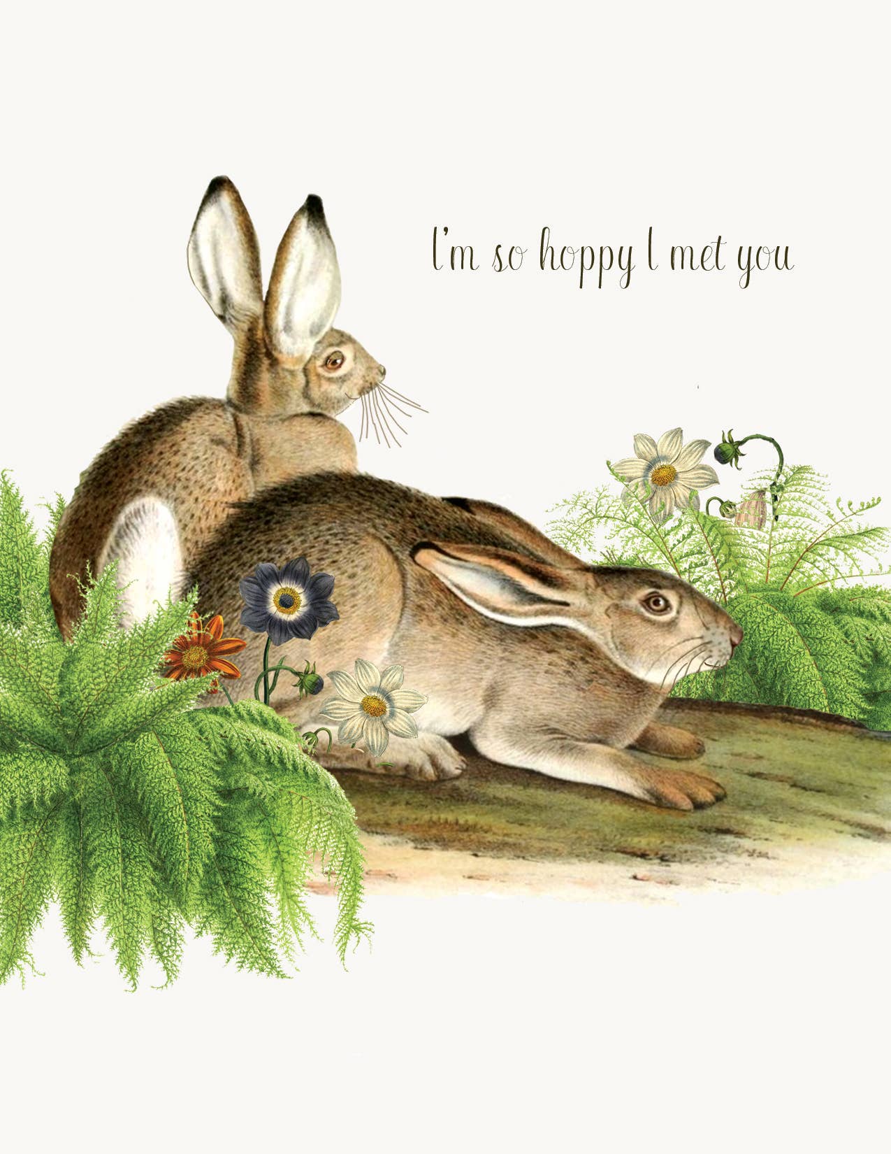 P. Flynn Design / Phun House - I'm so hoppy I met you