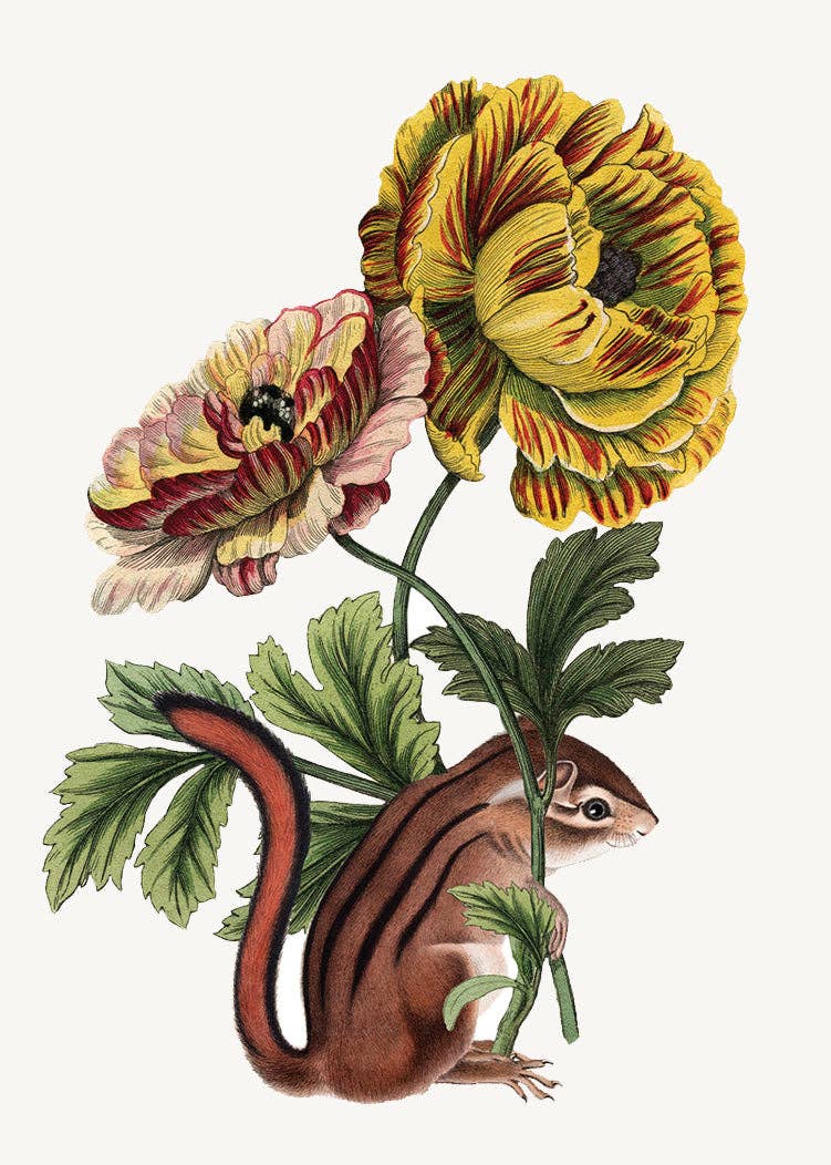 P. Flynn Design / Phun House - Chipmunk With Flower• Mini Enclosure Card