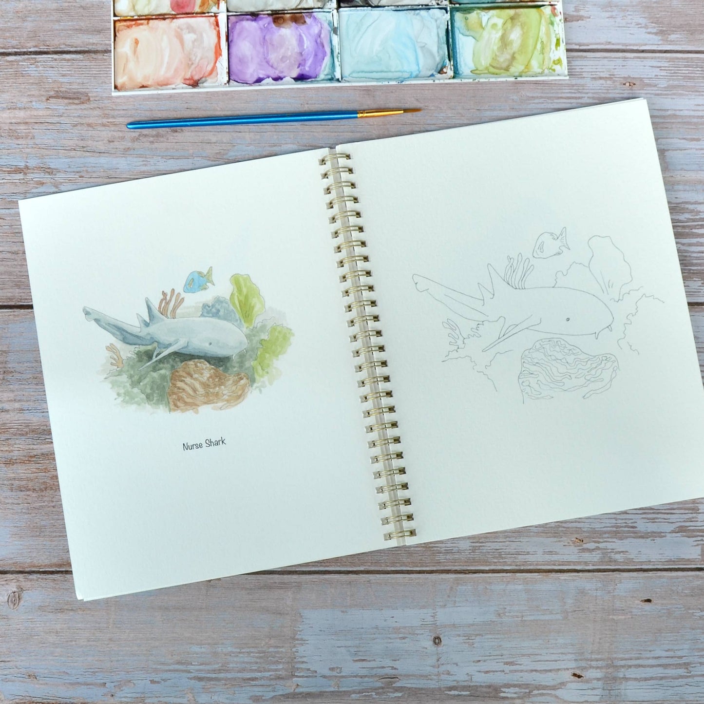LKA Fine Art - Watercolor workbook, Shark themed Watercoloring book