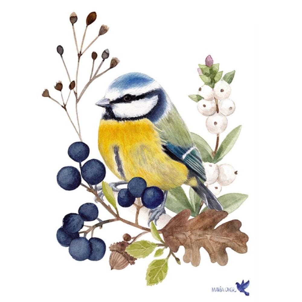 Paperproducts Design - BEV-OISEAU EN NATURE