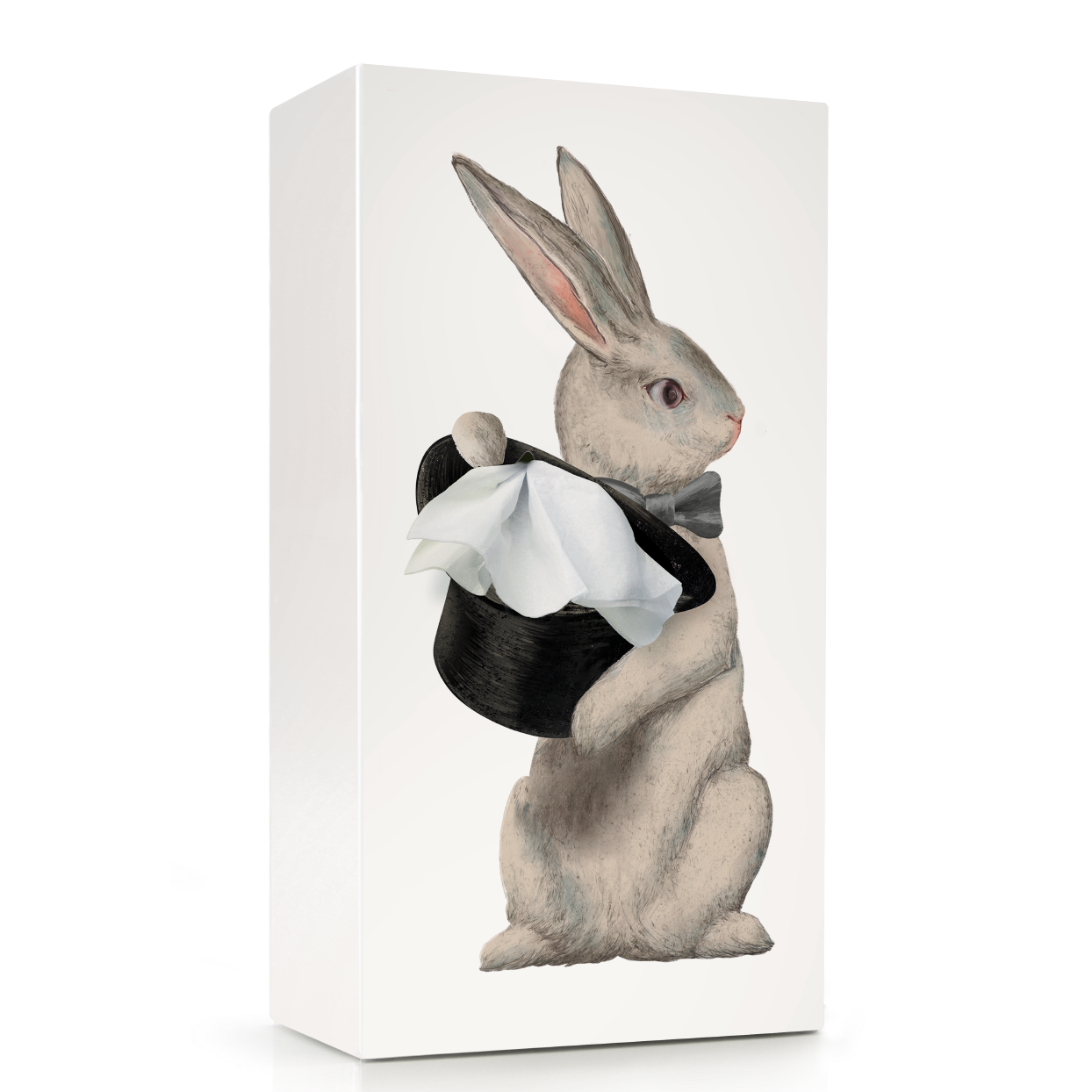 Beyond123 - Wonder Rabbit Tissue Box