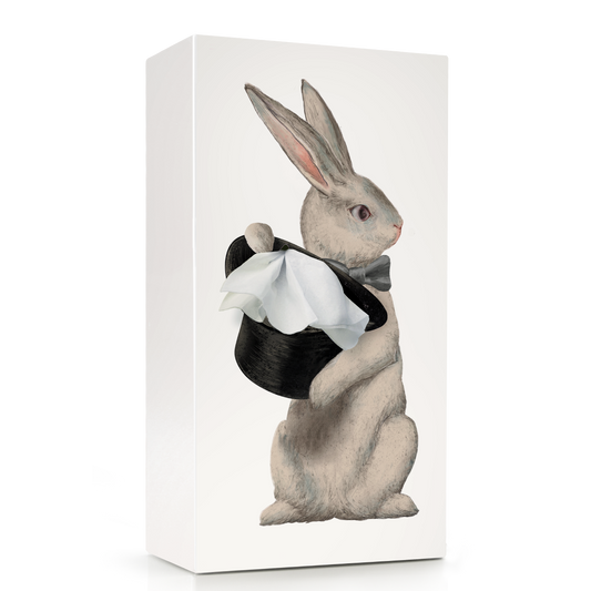 Beyond123 - Wonder Rabbit Tissue Box