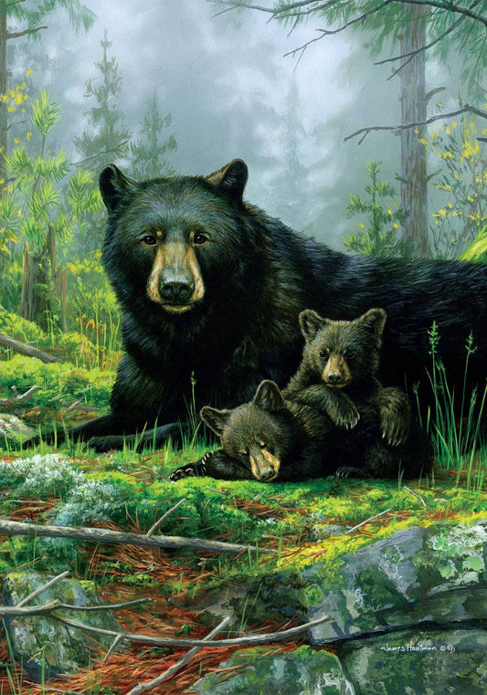 Custom Decor - Three Bears-FM - 12” x 18”