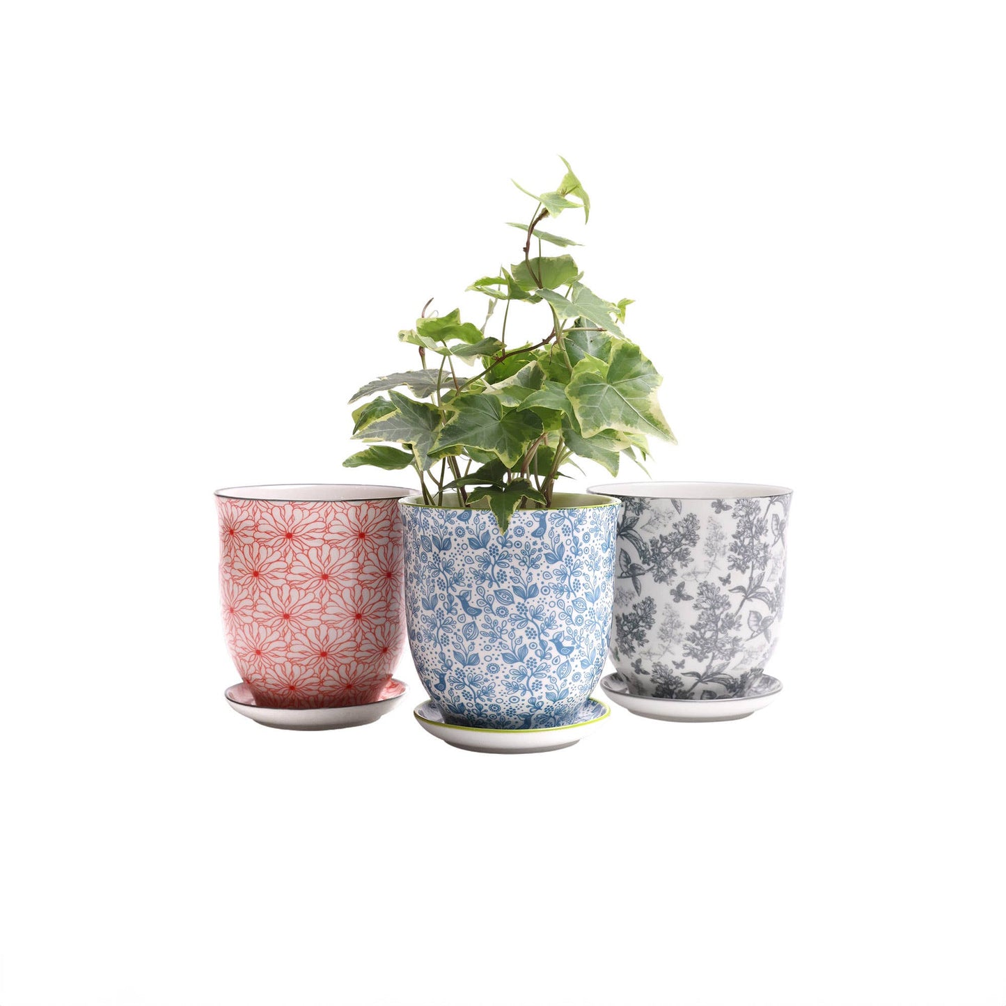 Chive - Liberte Indoor Porcelain Plant Pots: Red Flowers / 3.25"