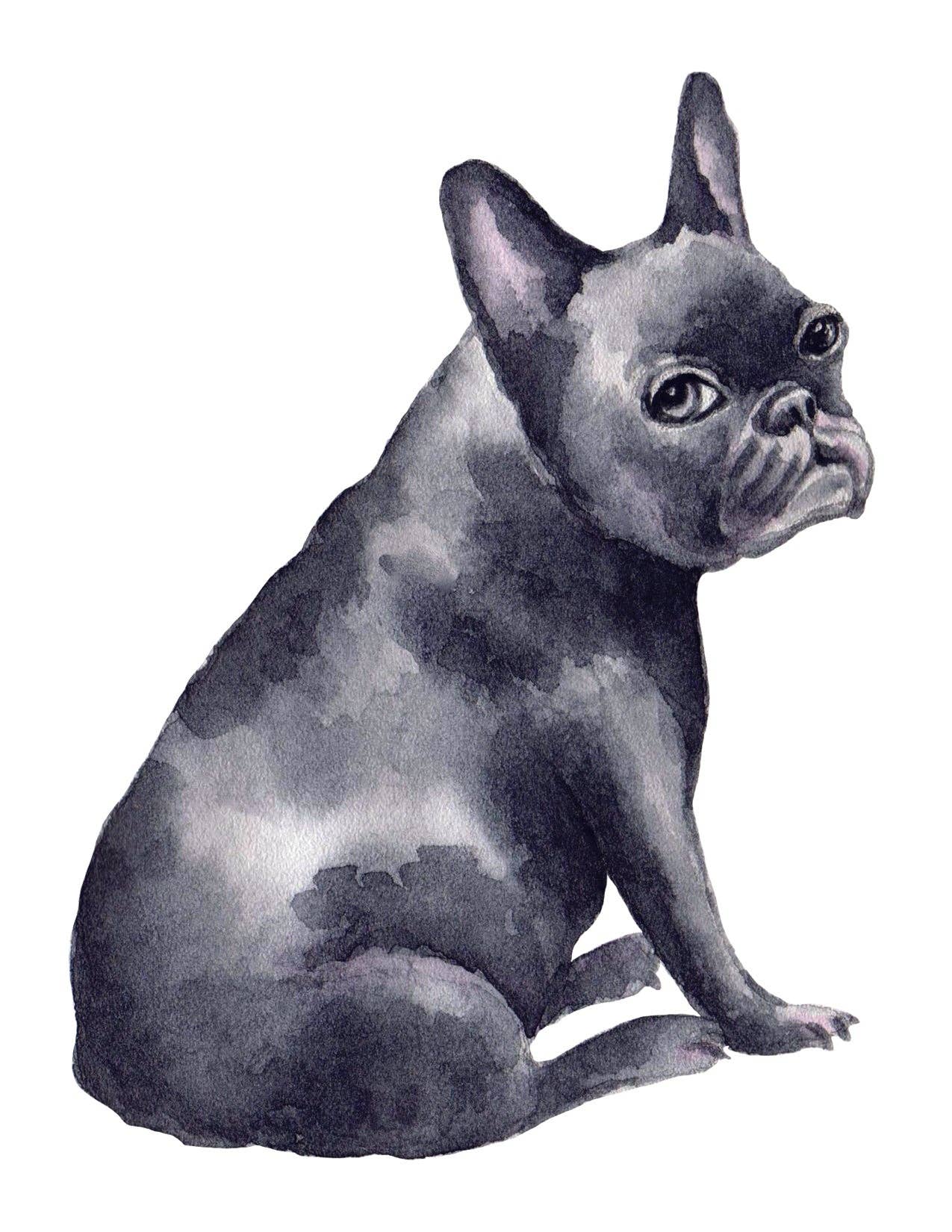 Bourbon & Bacon - French Bulldog, Blue Note Cards