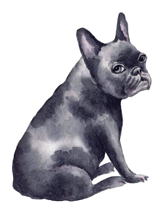 Bourbon & Bacon - French Bulldog, Blue Note Cards
