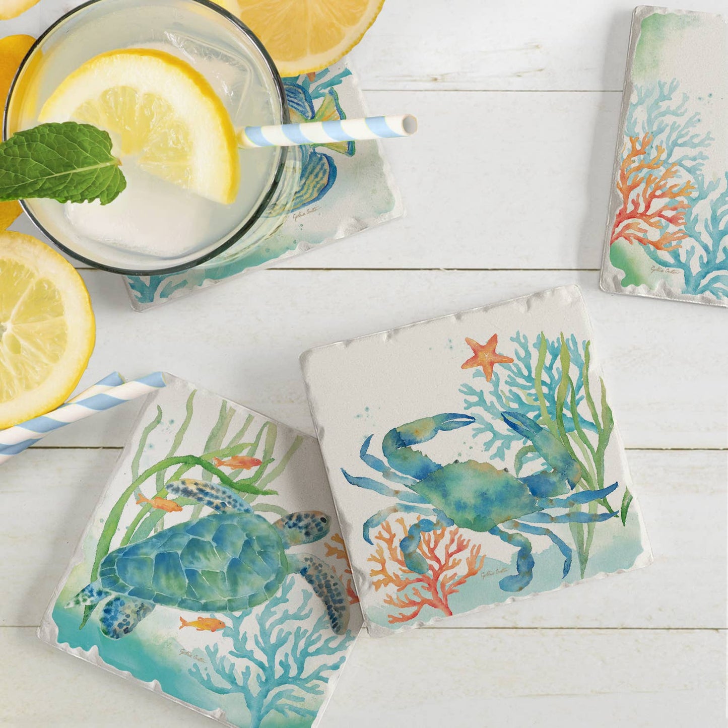 CounterArt/Highland Home/Thirstystone - Sea Life Serenade Assorted Image Tumbled Tile Coaster 4 Pack