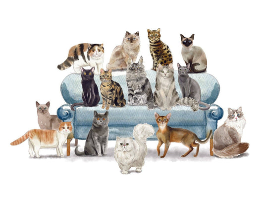 Bourbon & Bacon - Cats On a Sofa Note Cards