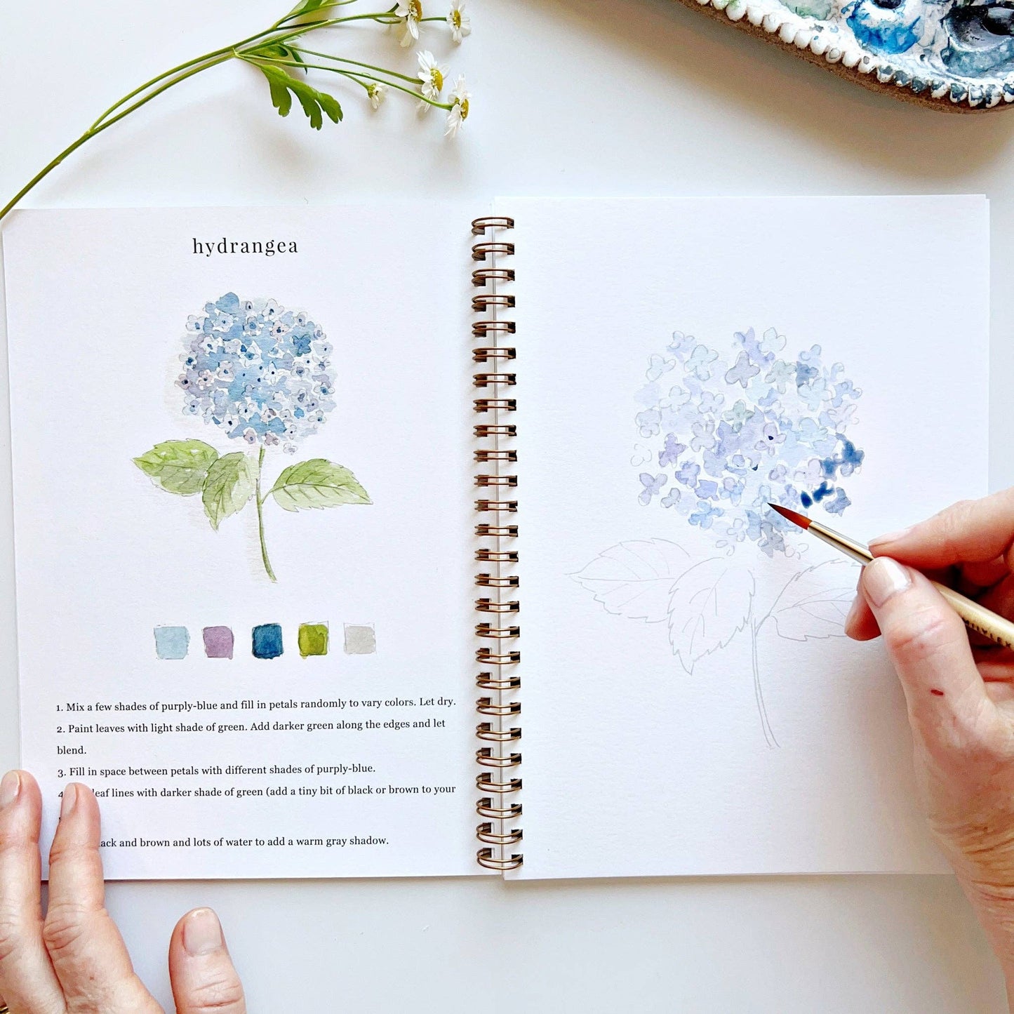 emily lex studio - Flowers watercolor workbook presale