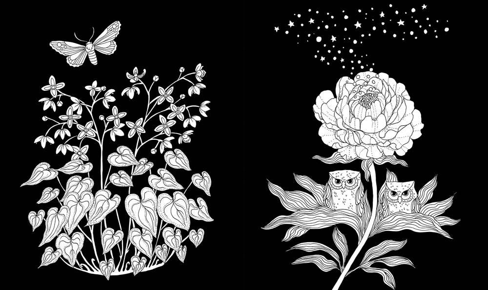 Gibbs Smith - Nightfall Coloring Book