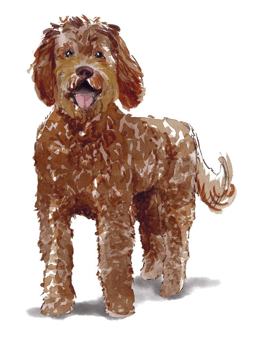 Bourbon & Bacon - Labradoodle Note Cards