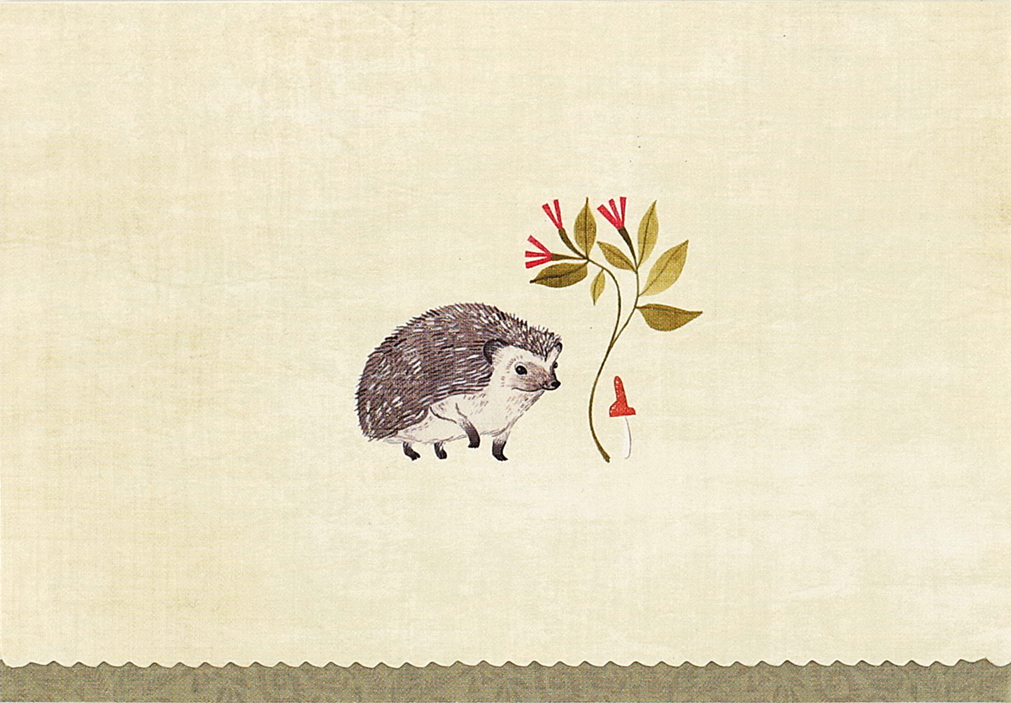 Peter Pauper Press - Hedgehog Note Cards