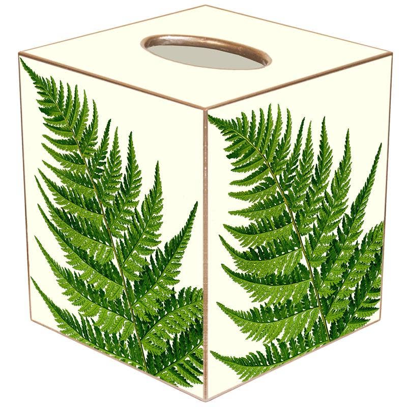 Marye-Kelley - Ferns on Ivory Tissue Box Cover: Paper Mache