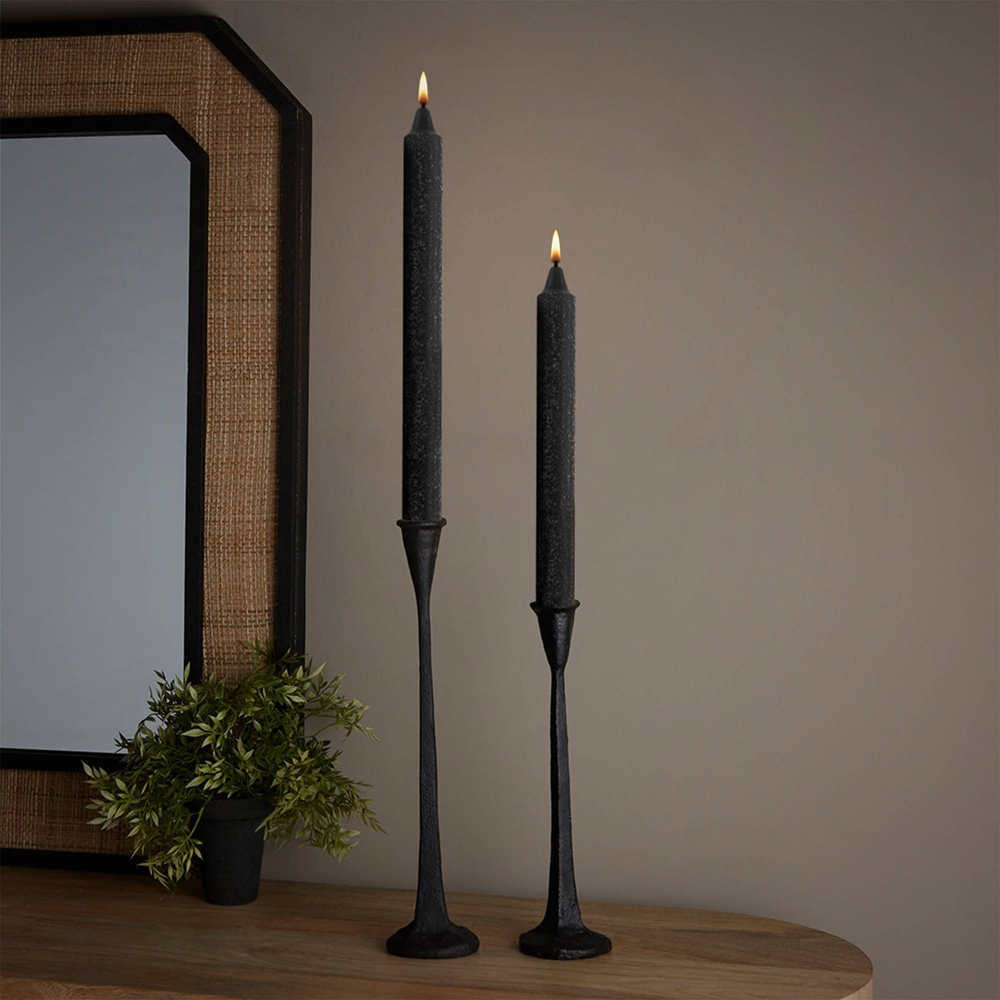 ROOT Candles - ROOT Timberline Arista Candles Box Of 12: Dark Green / 12 inch