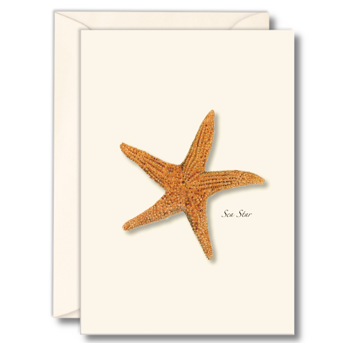 Earth Sky + Water - Sea Star Assorted Notecard Set