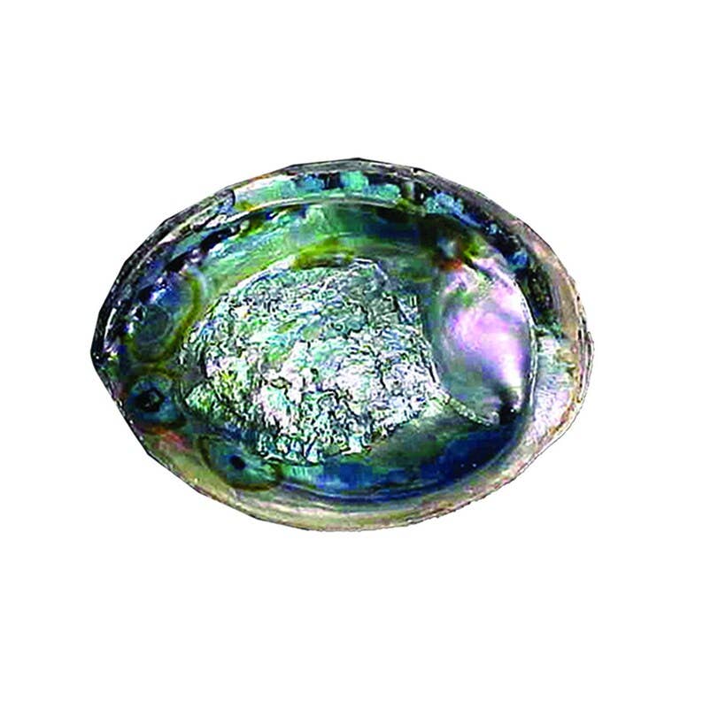 DESIGNS BY DEEKAY INC - 6"-7" Green Abalone Shells Bowl For Smudging