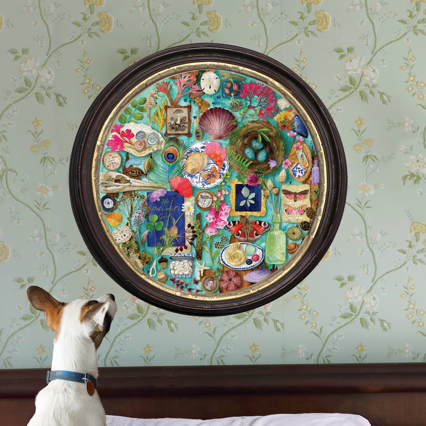 eeBoo - Collecting Nature 500 Piece Round Puzzle