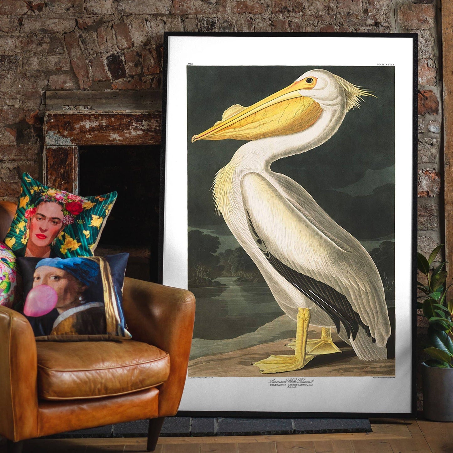 Ink & Drop - American White Pelican Vintage Antique Bird Print: 11 ¾ x 15 ¾ in | 30x40 cm / Matte