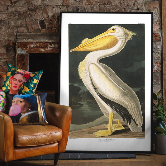 Ink & Drop - American White Pelican Vintage Antique Bird Print: 11 ¾ x 15 ¾ in | 30x40 cm / Matte