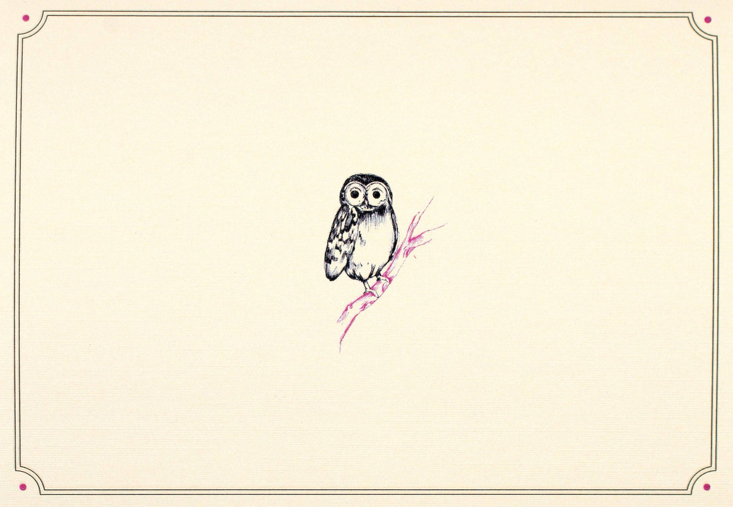 Peter Pauper Press - Owl Portrait Note Cards