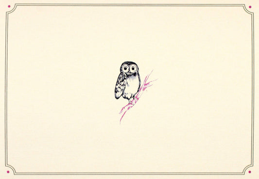 Peter Pauper Press - Owl Portrait Note Cards