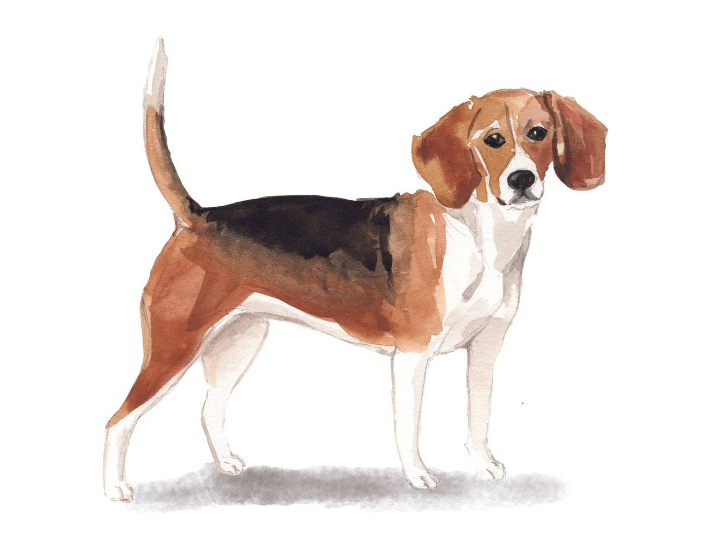 Bourbon & Bacon - Beagle Note Cards Blank Boxed Set of 10