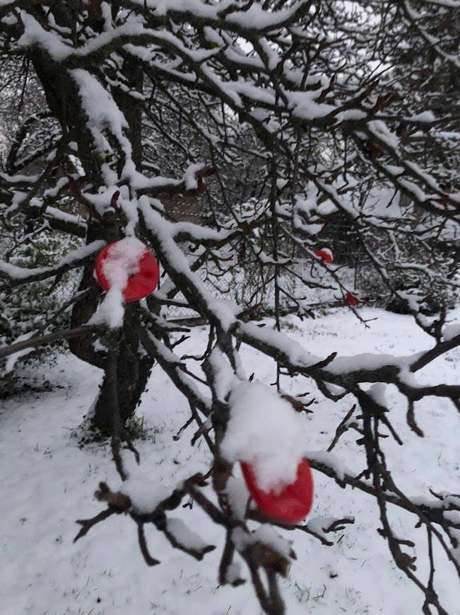 CARNEOL GLASS - Small Glass Flower For Outside In Red On Flexible Stem