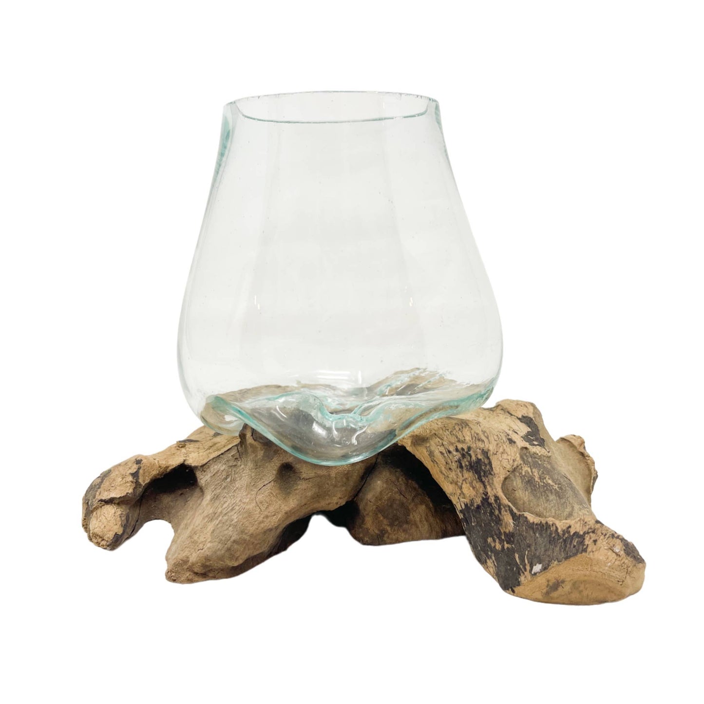 Asia West - X-Small Glass & Driftwood Terrarium (approx. 10"x 6" x 8"h)