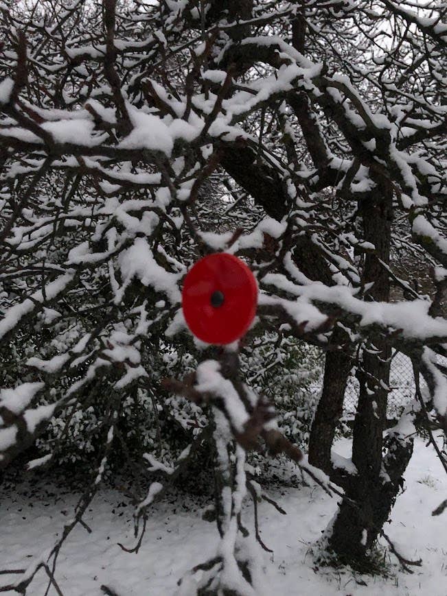 CARNEOL GLASS - Small Glass Flower For Outside In Red On Flexible Stem