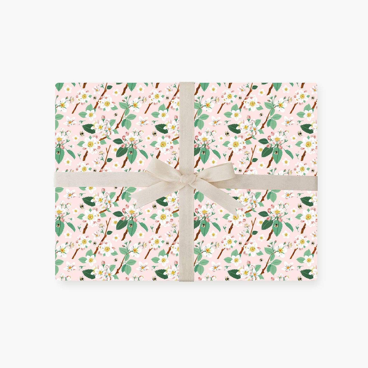 Botanica Paper Co. - MAGNOLIA & APPLE BLOSSOM |  Double Sided Wrapping Paper Sing