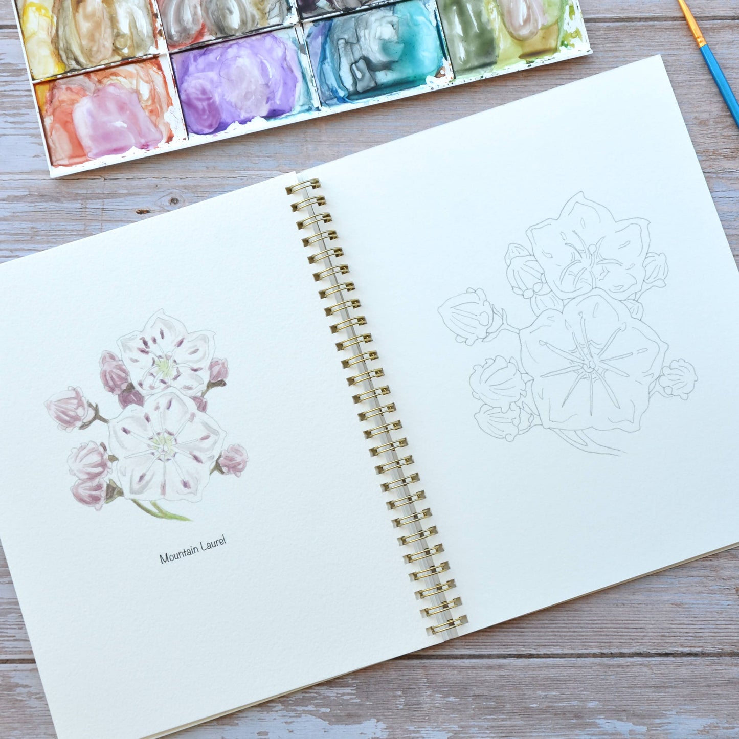 LKA Fine Art - Watercolor workbook, Connecticut Themed Watercoloring book