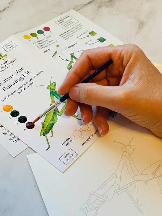Landa Ruen Art - Praying Mantis Watercolor Kit