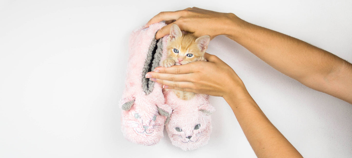 Faceplant Dreams - Cat Naps Footsies: M