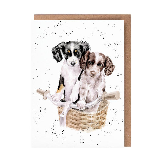 Wrendale Designs - Paws and Pedals - Single Card