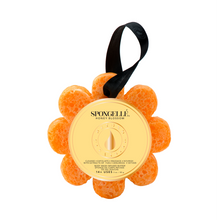 Load image into Gallery viewer, Spongellé - Honey Blossom Wild Flower