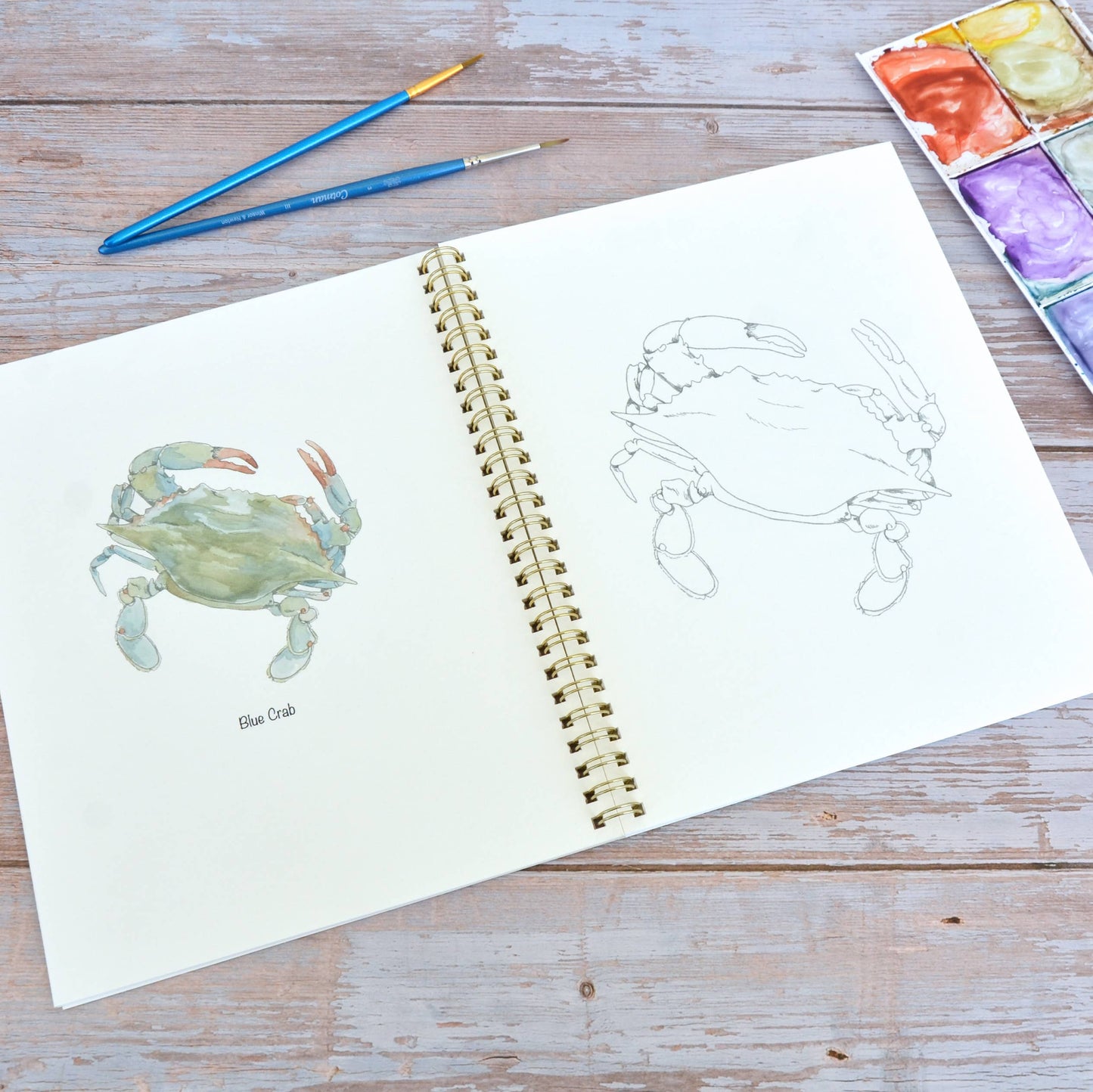 LKA Fine Art - Watercolor workbook, Maryland Themed Watercoloring book