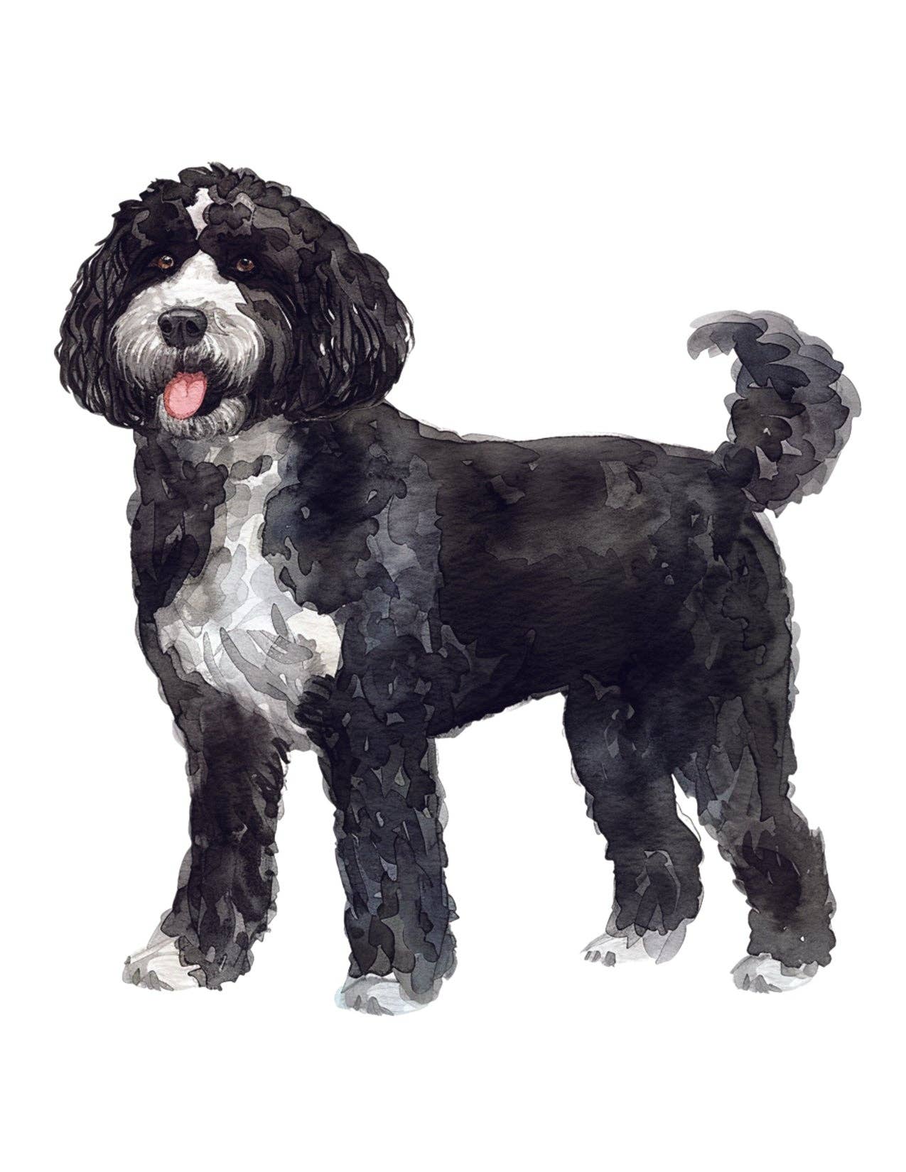 Bourbon & Bacon - Portuguese Water Dog Note Cards