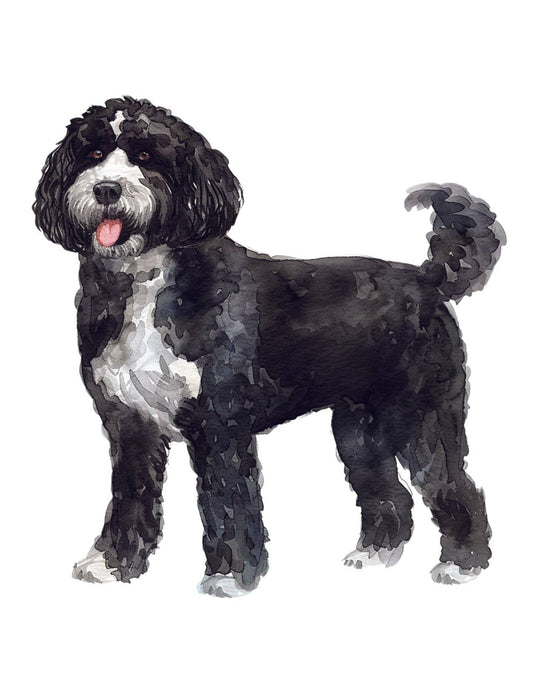 Bourbon & Bacon - Portuguese Water Dog Note Cards