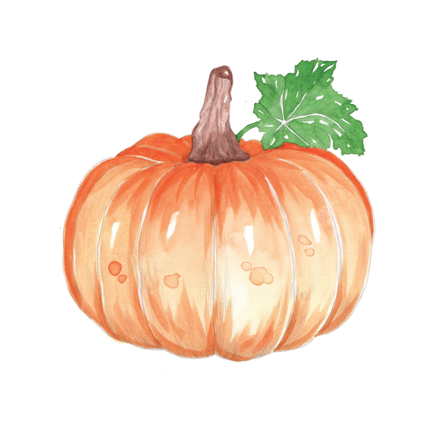 Willow Wolfe USA - Fall Into Color Watercolor Workbook by Nya Wolfe